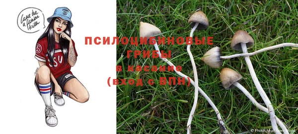 мяу мяу мука Саяногорск