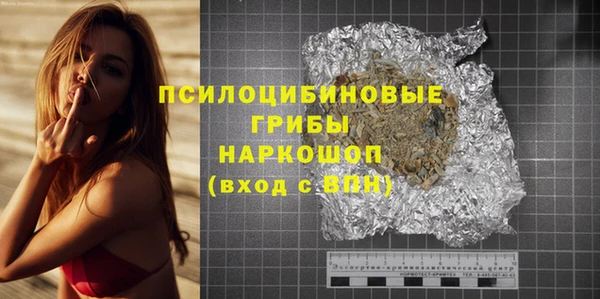 бошки Сатка
