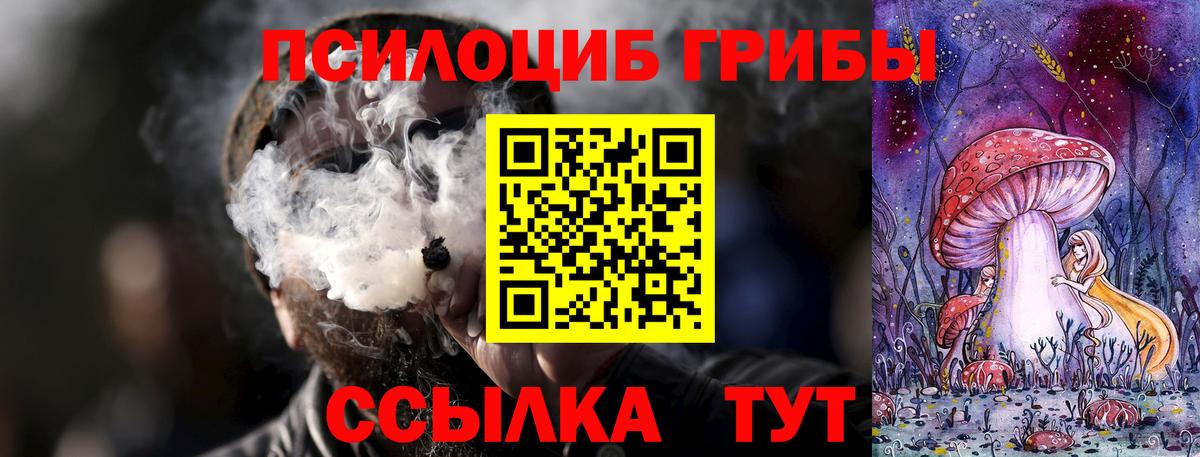 Галлюциногенные грибы прущие грибы  Пенза 