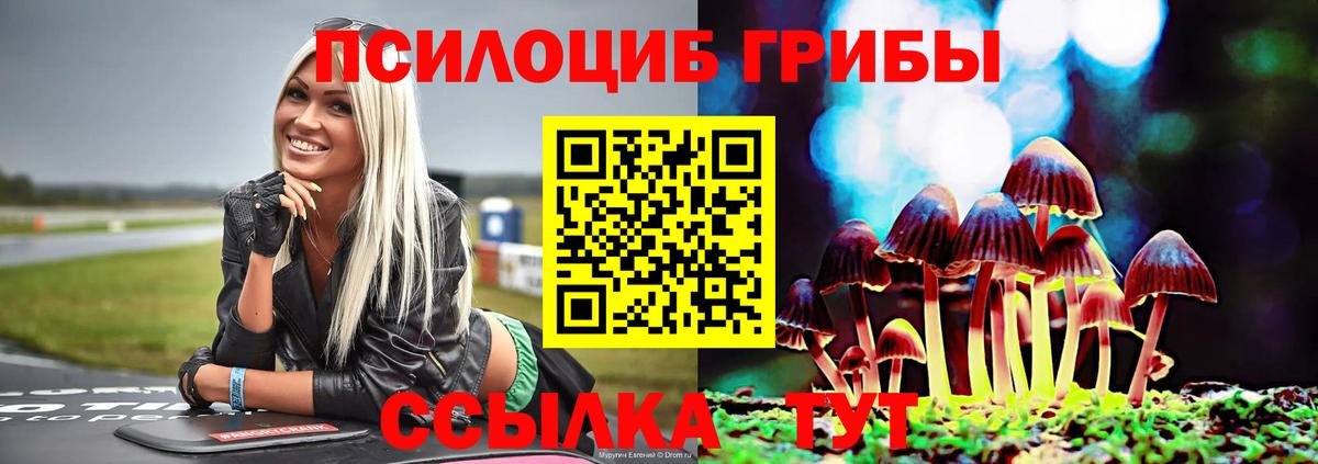 Галлюциногенные грибы MAGIC MUSHROOMS  Галлюциногенные грибы Psilocybine cubensis  Вход с VPN  Пенза 