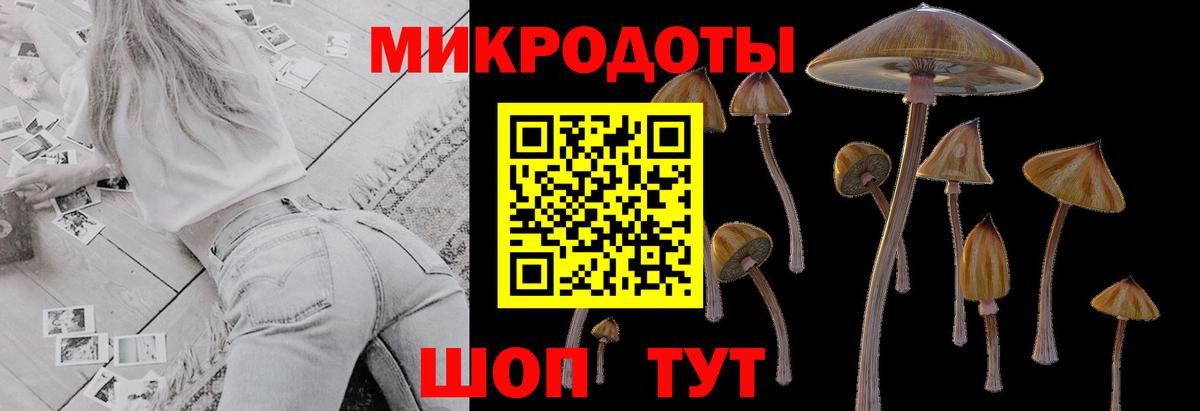 ГАШ Пенза